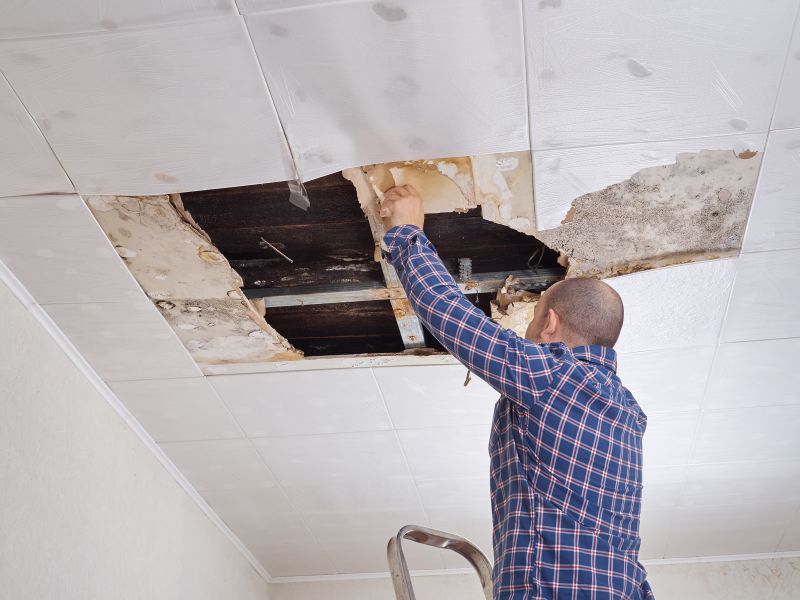 Building Repair Service